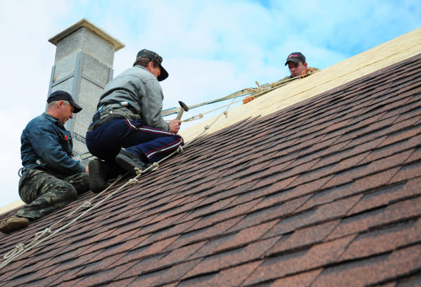 Best Local Roofing Companies  in Linden, TX